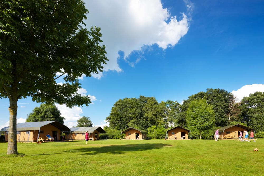 Tentenveld bij Hoeve sonneclear in zomer