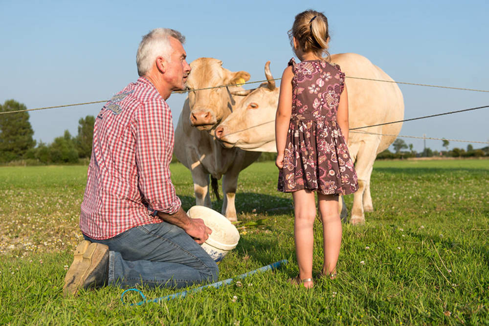 Kinderen voeren de dieren op de boerderij tijdens een Hemelvaartweekend bij FarmCamps.