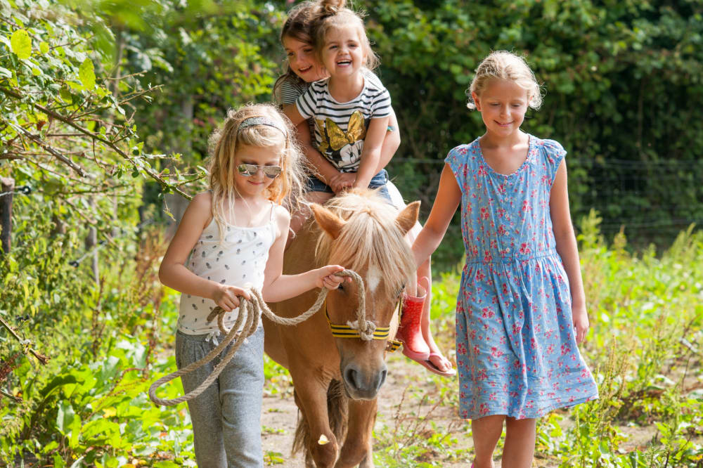 Kinderen lopen door het weiland met Hemelvaart