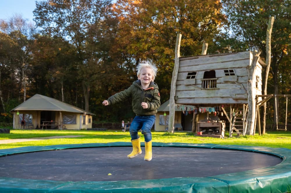 Kinderen spelen in het herfstzonnetje op een boerderij in Nederland tijdens de herfstvakantie – genieten van buiten zijn, dieren knuffelen en marshmallows roosteren bij FarmCamps.