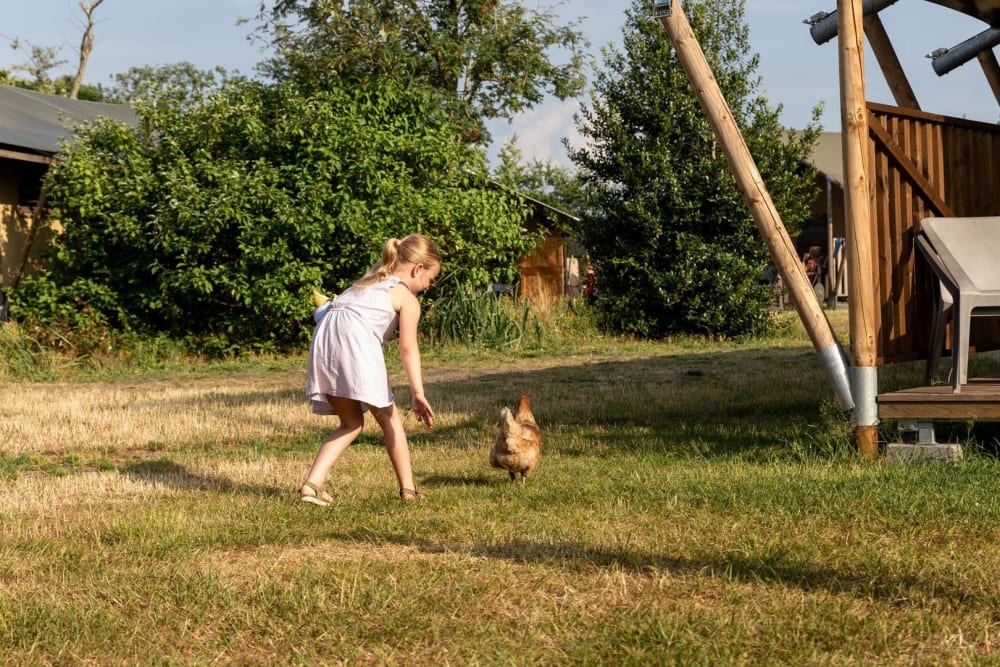 Kleintje rent achter een kip aan tijdens de vakantie met kinderen op de boerderij bij FarmCamps