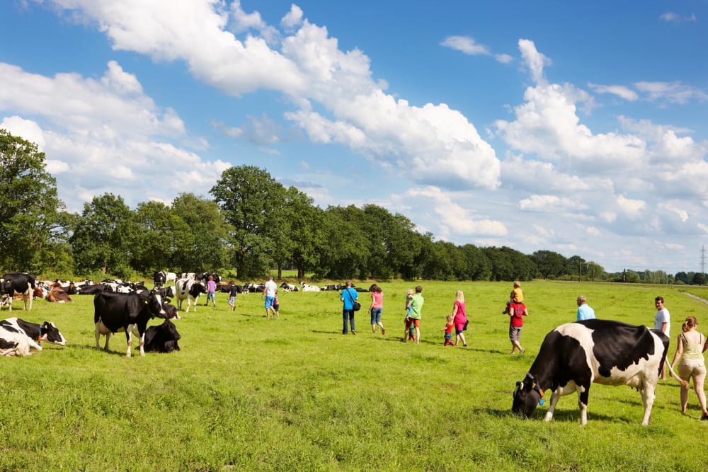FarmCamps_Hoeve_Sonneclaer_Drenthe_tour_de_boe