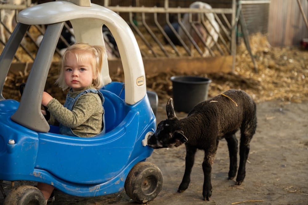 FarmCamps_De_Bonte_Fries_Friesland_meisje_in_t