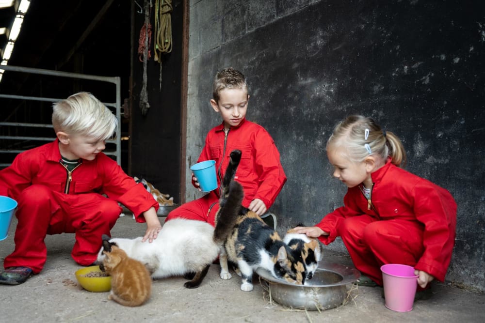 Kinderen knuffelen de dieren tijdens een weekendje weg op de boerderij