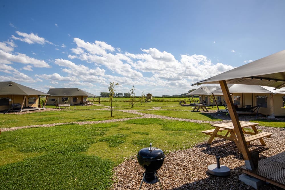 luxe tenten op een boerderij voor een groepsaccommodatie in Zeeland 