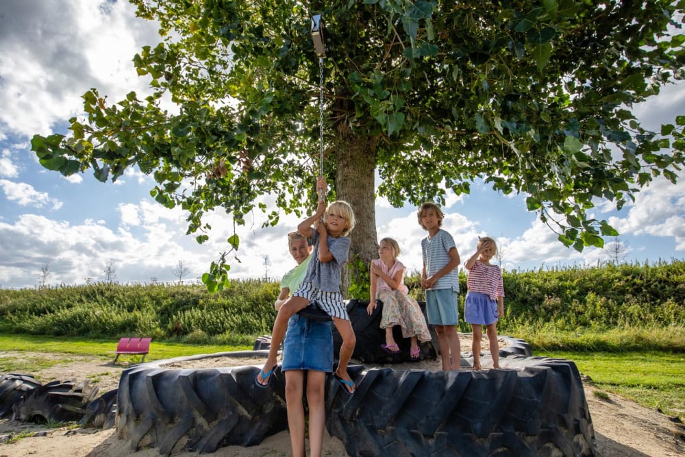 Kinderen spelen en klimmen in een boom op een boerderijcamping van FarmCamps