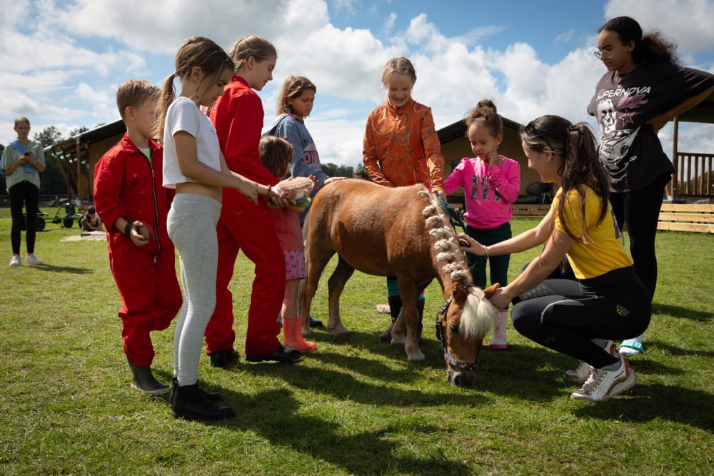 FarmCamps_Holzik_Stables_Overijssel_pony_op_te