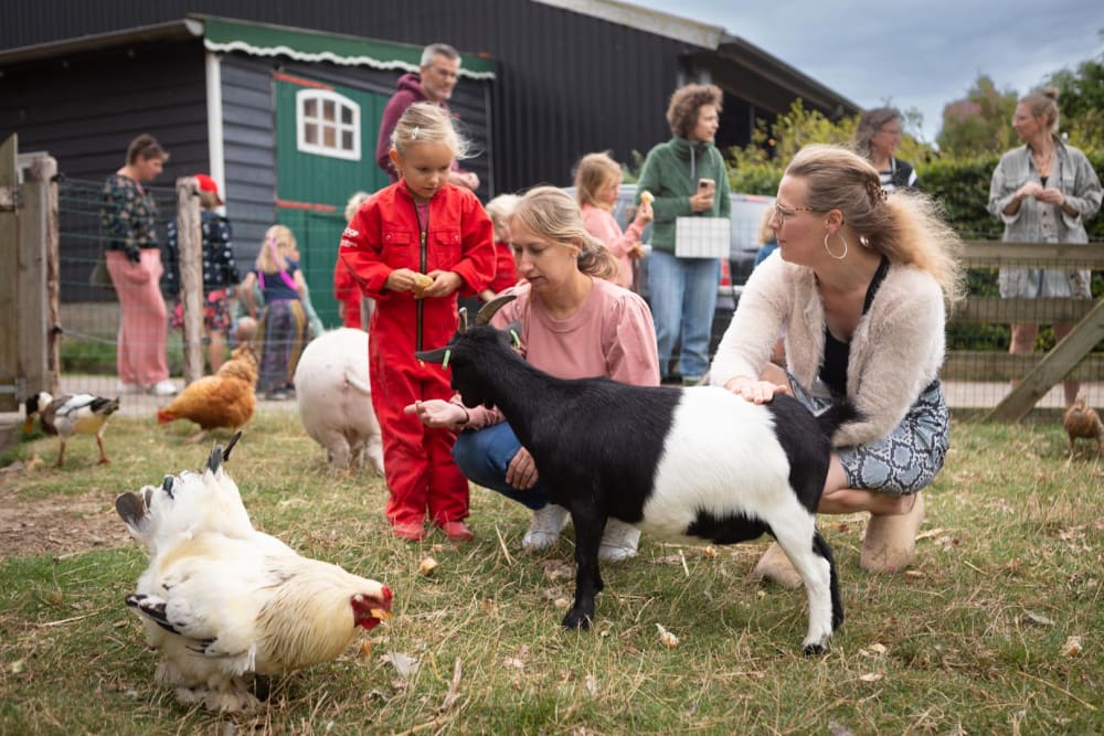 Kind geeft een geit eten op de boerderij