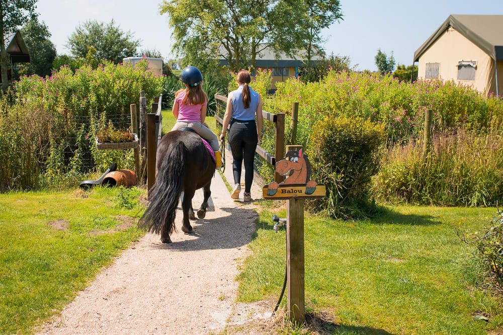 240718_FarmCamps-28