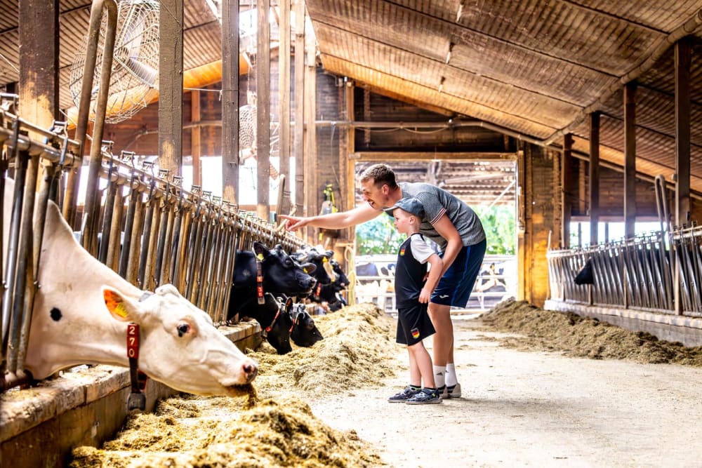 FarmCamps Soodehof Eins child with parent in the barn