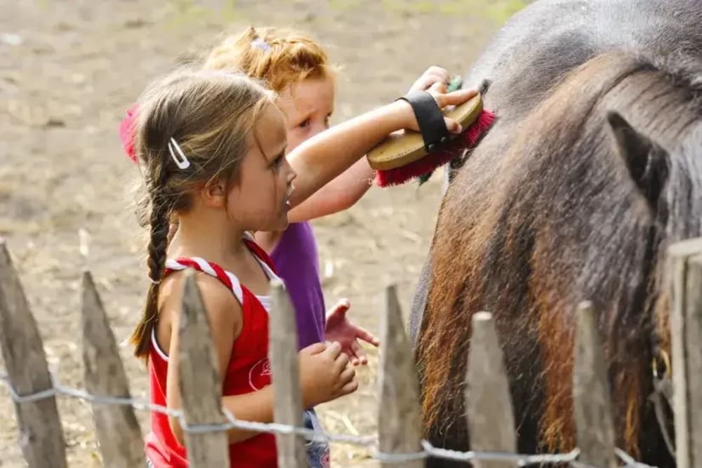 Girls grooming a pony at FarmCamps – a stress-free farm stay full of animals and outdoor fun.