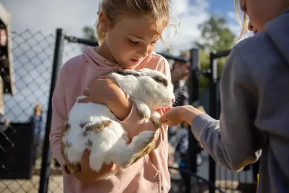 Girl holding a rabbit at FarmCamps – a stress-free farm stay full of animals and outdoor fun.