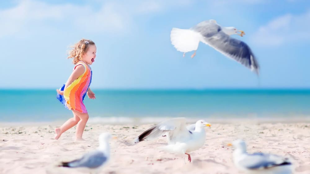 Mädchen spielt am Meer in den Niederlanden