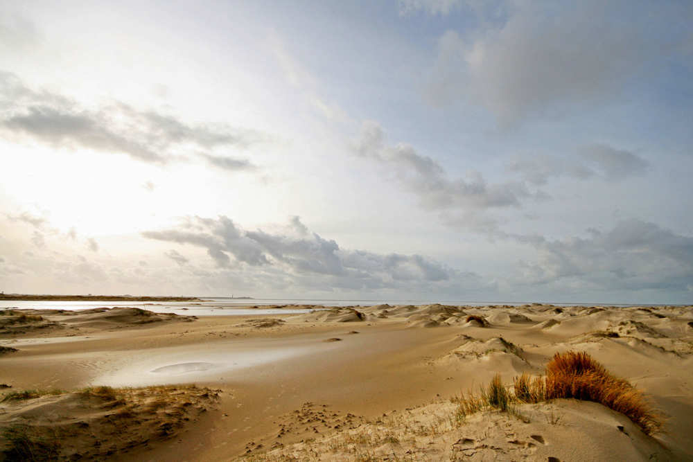 de-hors-natuur-de-krim-texel