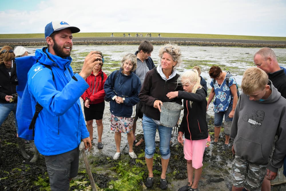 wadlopen_4