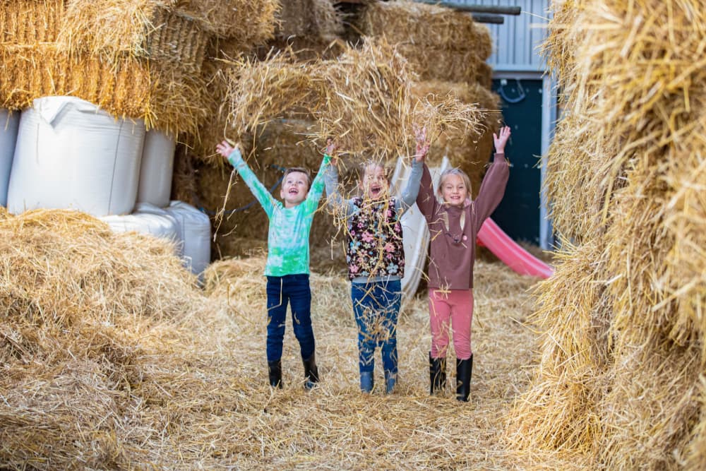 FarmCamps_De_Bonte_Fries_Friesland_kiinderen_s