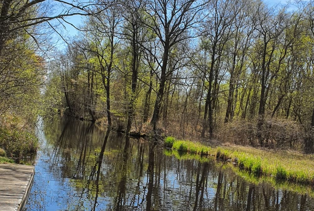 omgeving_vakantieparken_weerribben_wieden