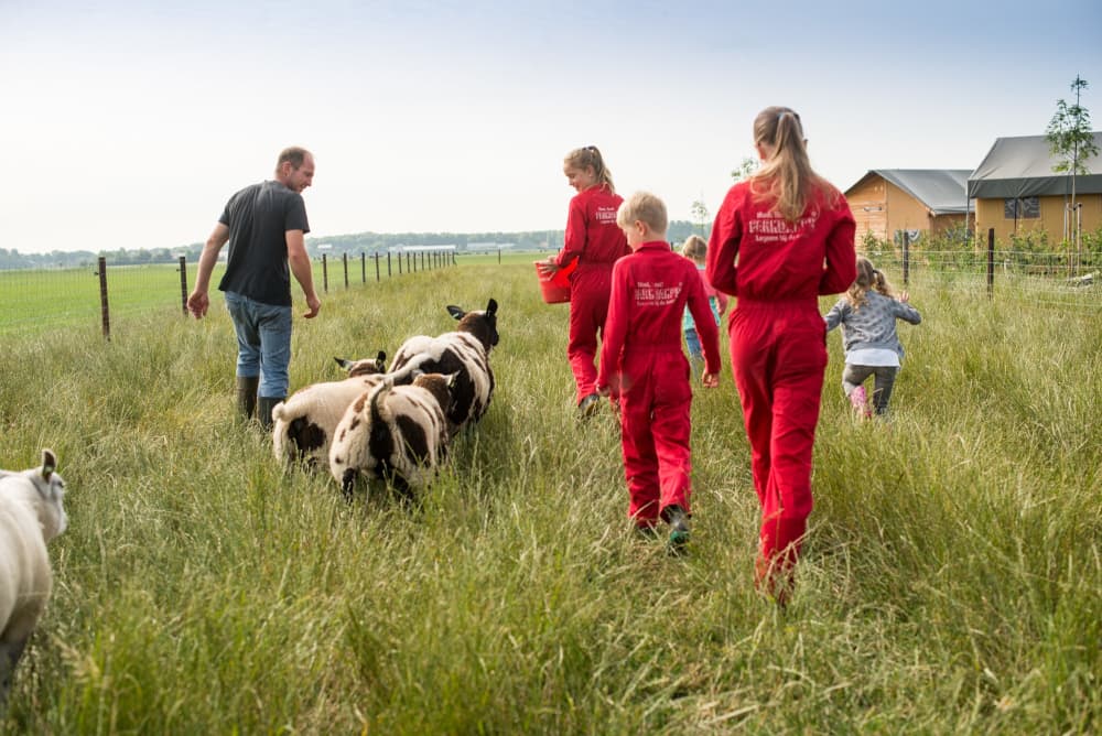 Farmer kids sheep