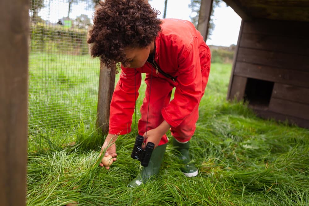 FarmCamps_Hoeve_Sonneclaer_Drenthe_eieren_zoek