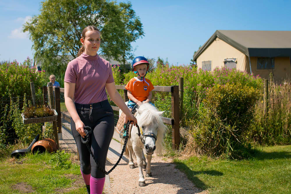 FarmCamps_Fleur_Stables_Noord-Holland_wandelpo