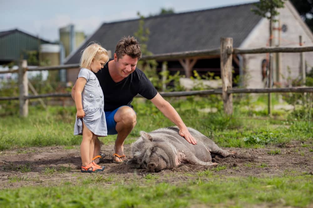 FarmCamps_BoeBaDoe_limburg_dieren_knuffelen_aa