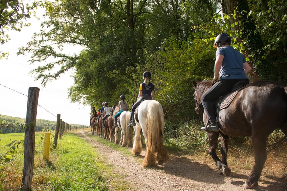 FarmCamps_De_Verloren_Kost_Zuid-Limburg_buiten