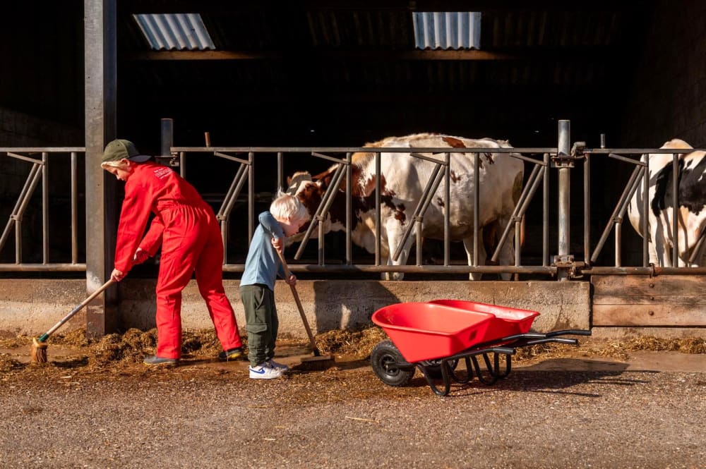 FarmCamps_Kooij_Hoeve_Zuid-Holland_stallen_aan