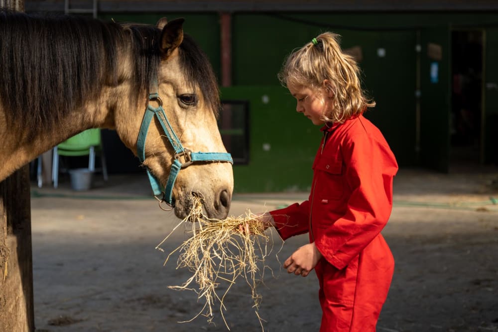 FarmCamps_De_Bonte_Fries_Friesland_meisje_pony