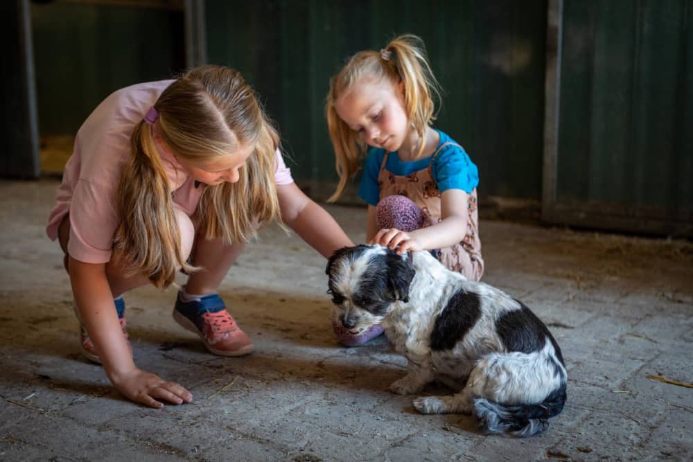 Girl cuddling a farm animal during holiday 2026 at FarmCamps