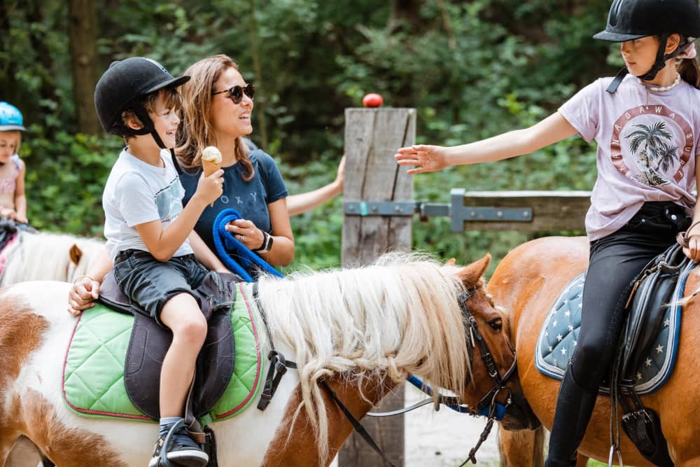 paardrijles voor beginners