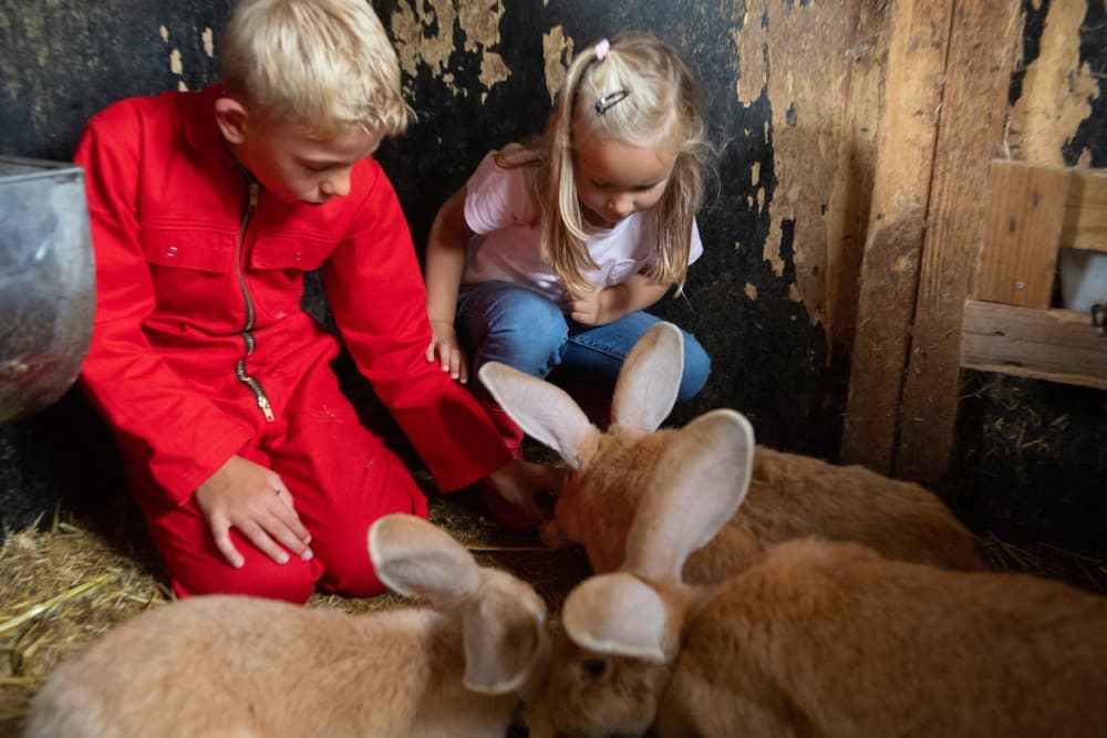 kinderen knuffelen konijnen