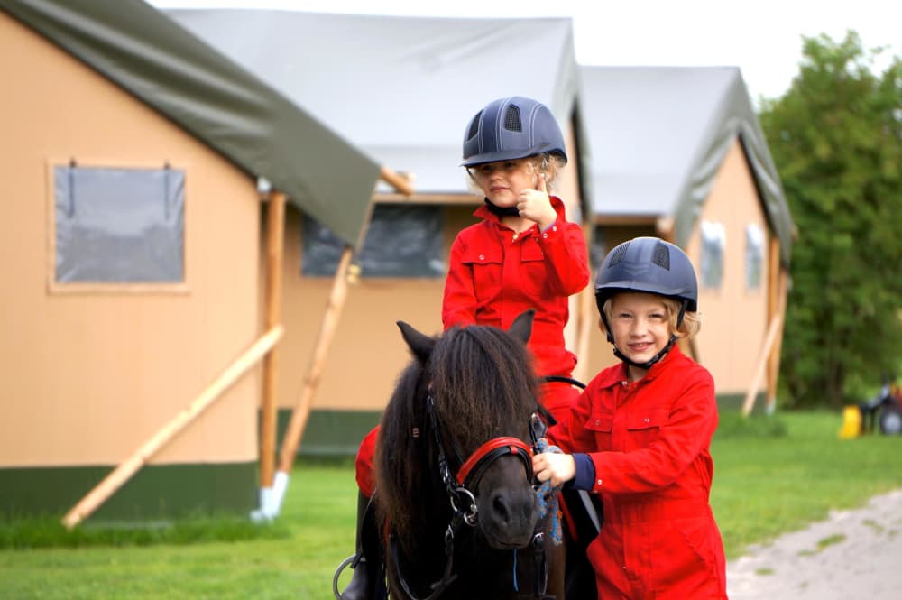 FarmCamps_De_Smulhoeve_Noord-Brabant_wandelpon