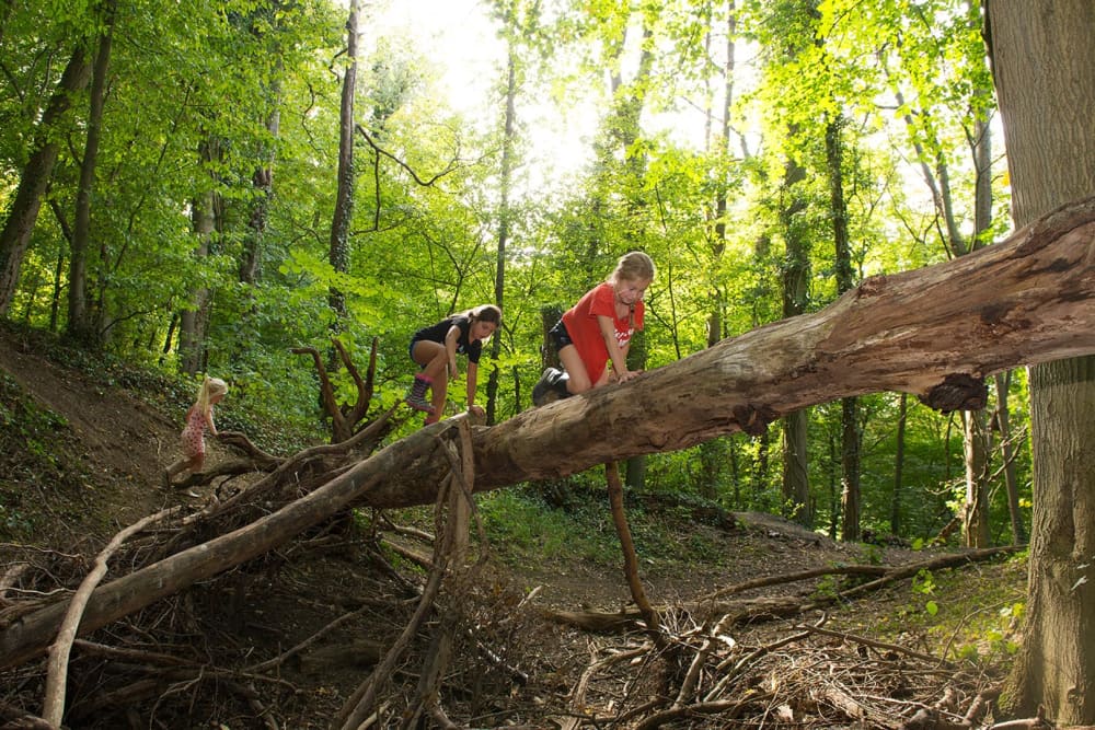 FarmCamps_De_Verloren_Kost_Zuid-Limburg_spelen