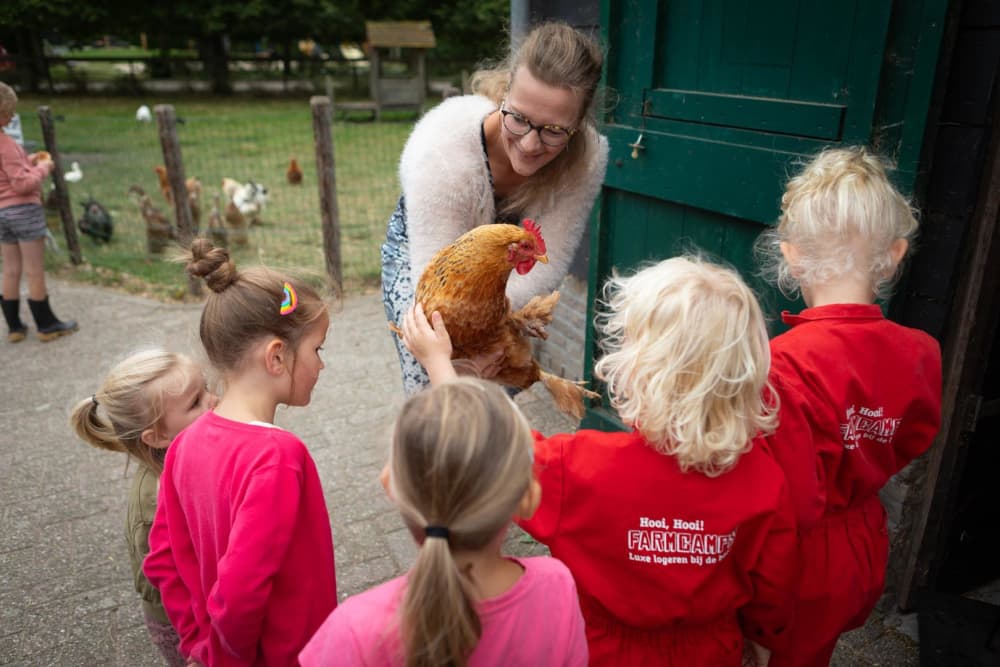 FarmCamps_Mariekerke_boerin_Alide_kip_vasthoud