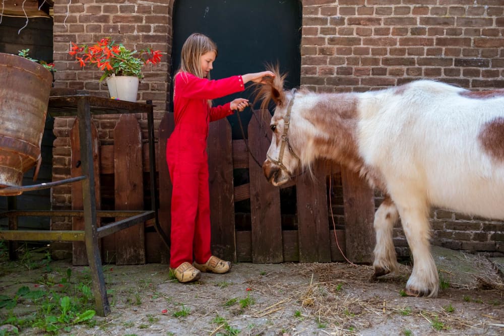 FarmCamps_Den_Branderhorst_Gelderland_ponyverz
