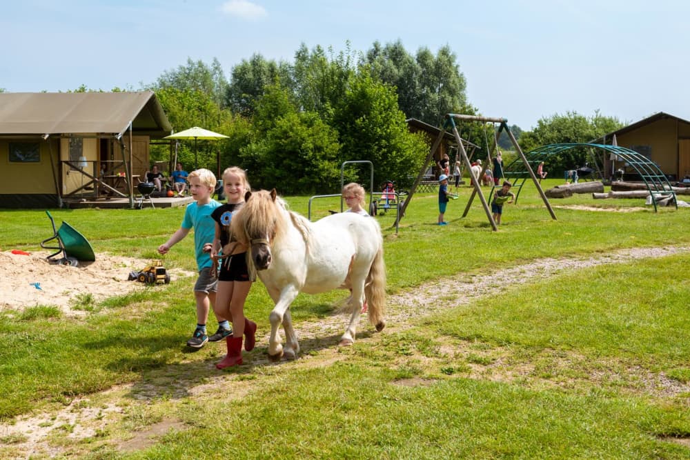 FarmCamps_Den_Branderhorst_Gelderland_wandelpo