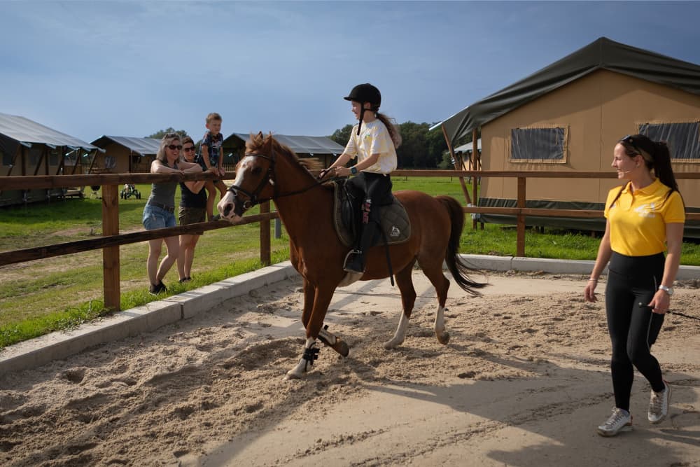 FarmCamps_Holzik_Stables_Overijssel_paardrijle