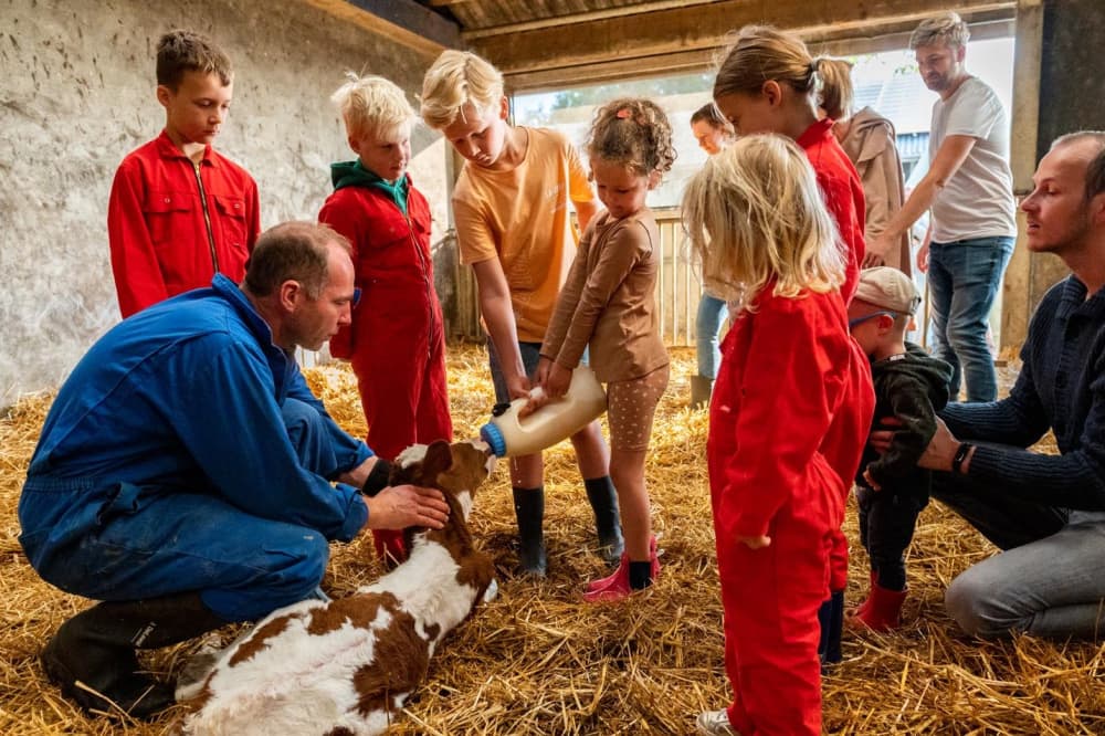 FarmCamps_Op_Flakkee_Zuid-Holland_kinderen_in_