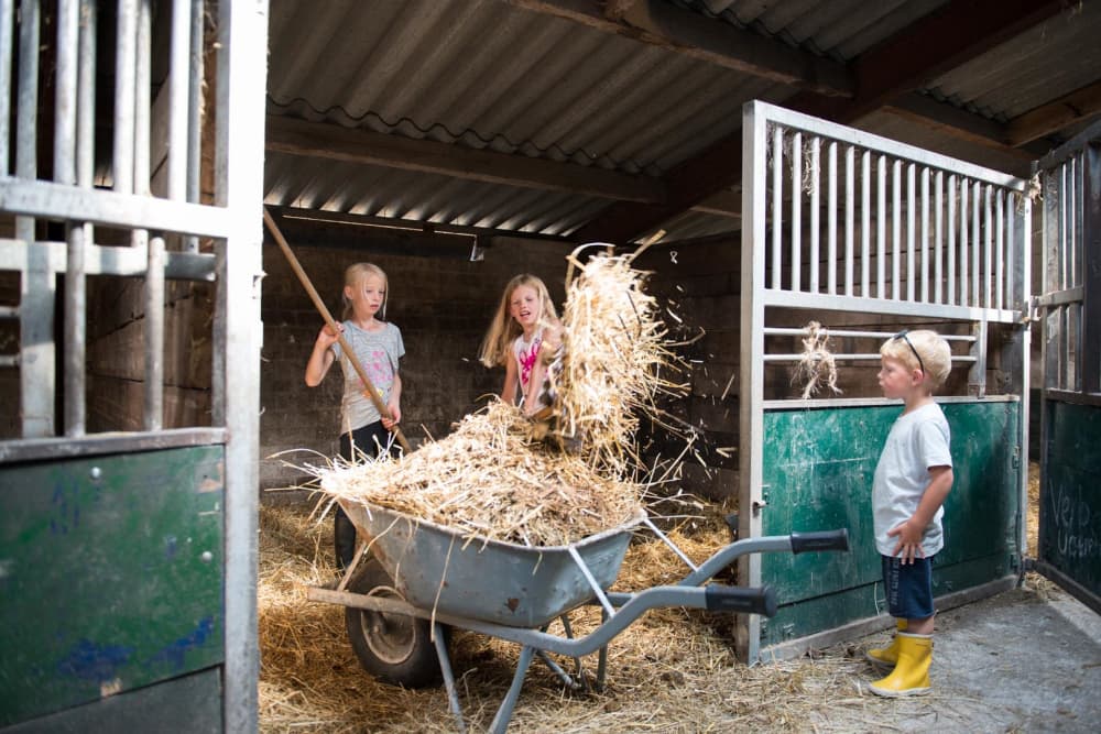 FarmCamps_Breehees_Noord-Brabant_stallen_uitme