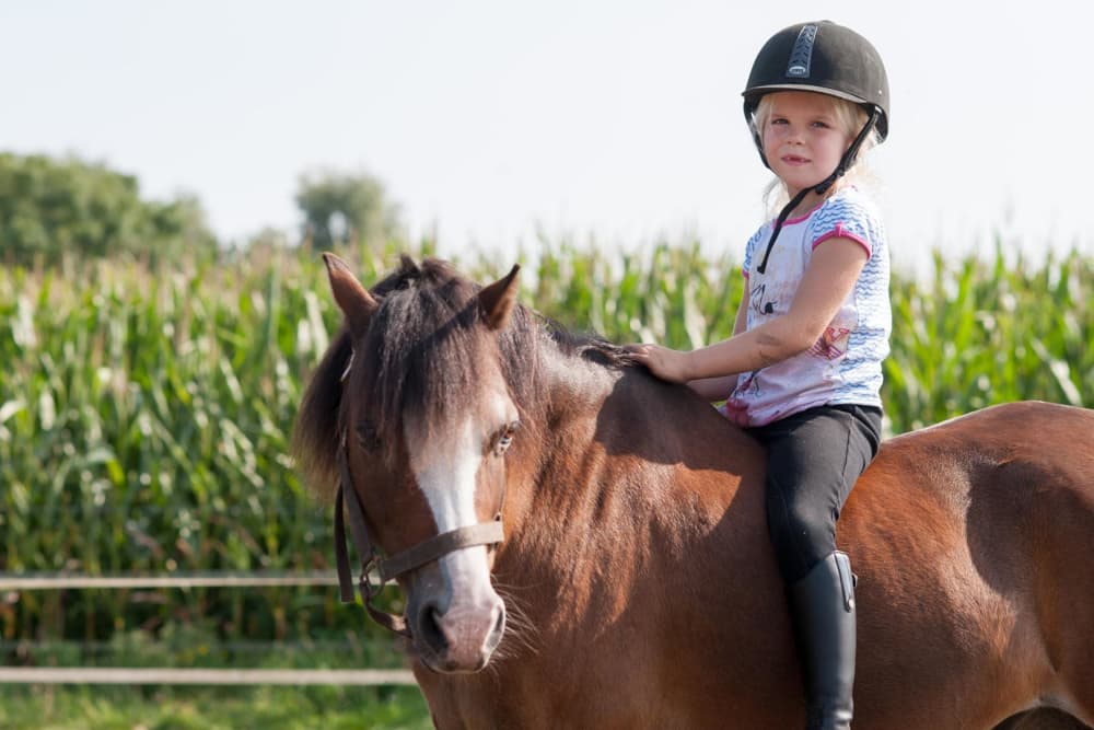 FarmCamps_Breehees_Noord-Brabant_rijles_pony_m