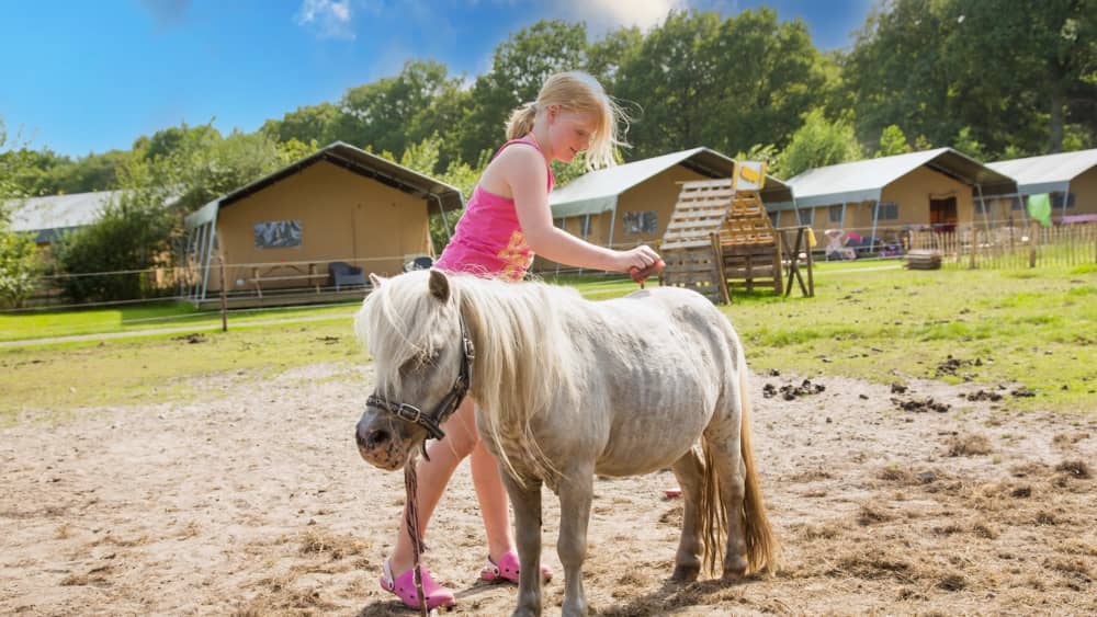 FarmCamps_De_Bosrand_Drenthe_meisje_pony_borst