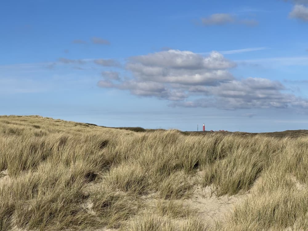 Afbeelding van de eigenaar