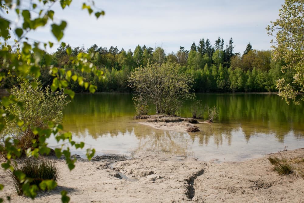 FarmCamps_De_Bosrand_alleen_zwemmeertje