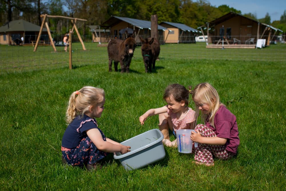 Children feeding farm animals during a budget-friendly family weekend getaway