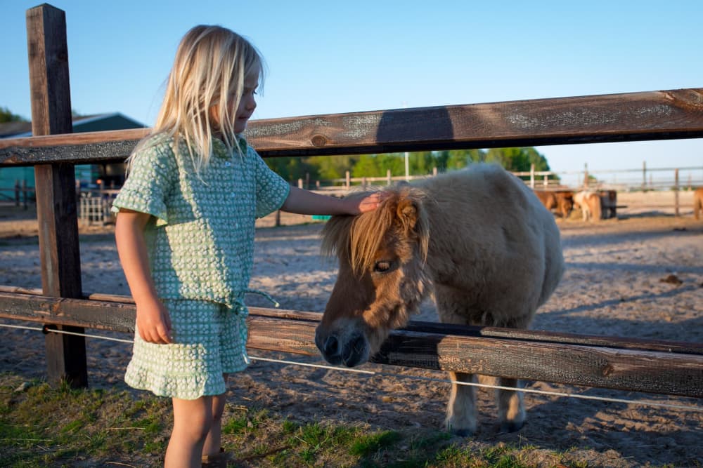 FarmCamps_De_Bosrand_meisje_aait_pony