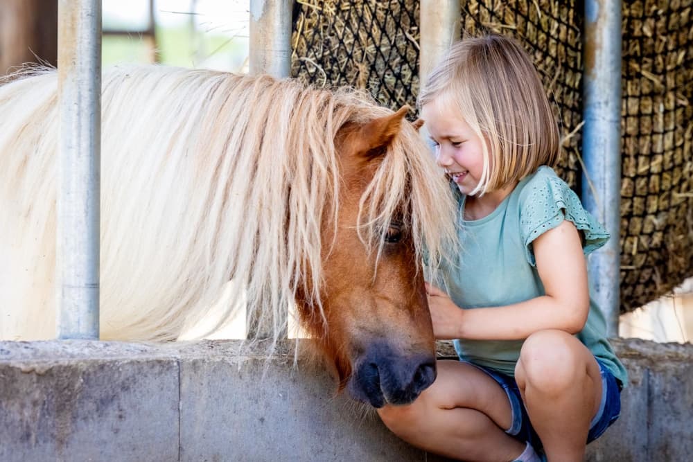 FarmCamps_Soodehof_Eins_meisje_blij_met_pony