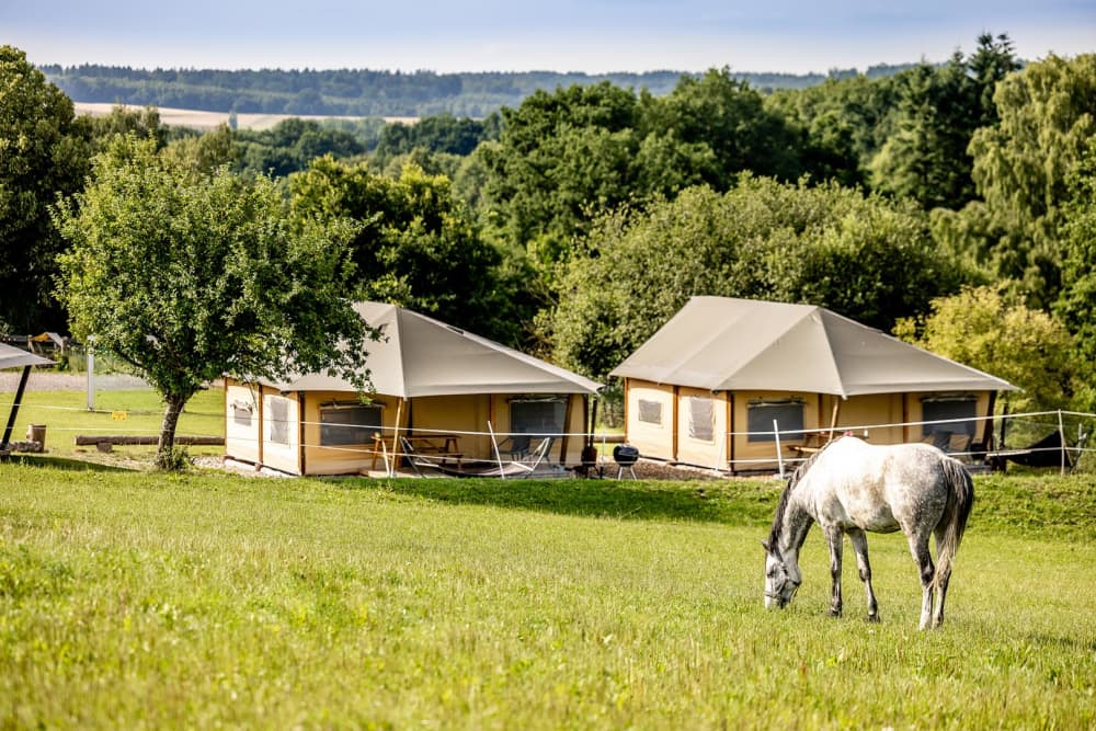 FarmCamps_Soodehof_Eins_overzicht_tentenveld_b
