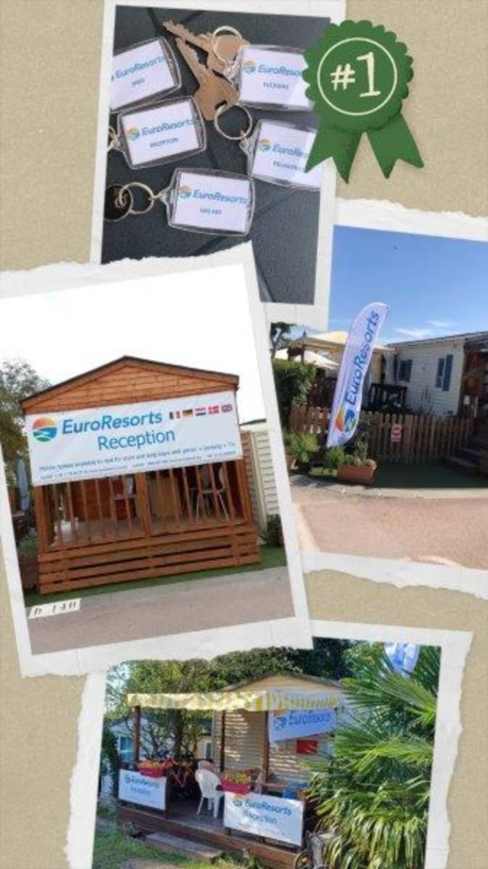 20241009_145705-COLLAGE