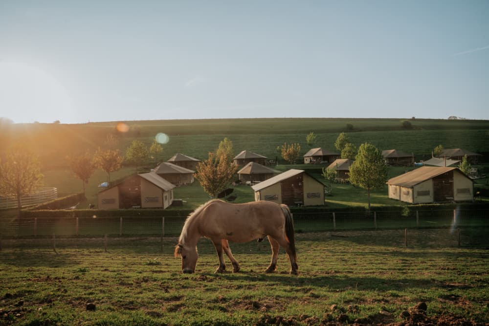 Luxe safaritenten van FarmCamps in het Limburgse heuvellandschap