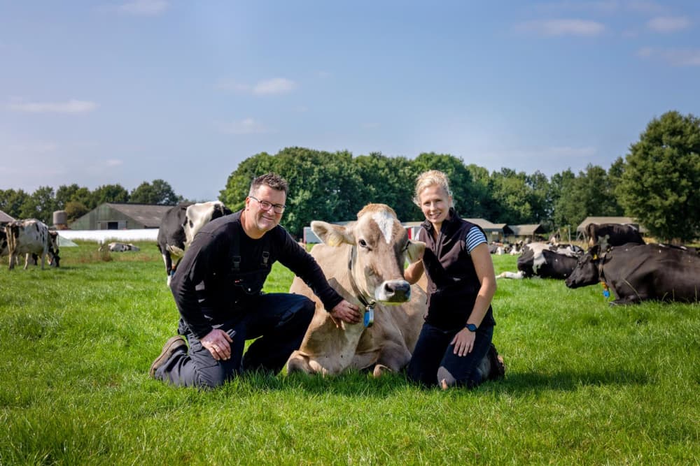 FarmCamps_t_Looveld_Drenthe_boer_en_boerin_in_de_wei_koe